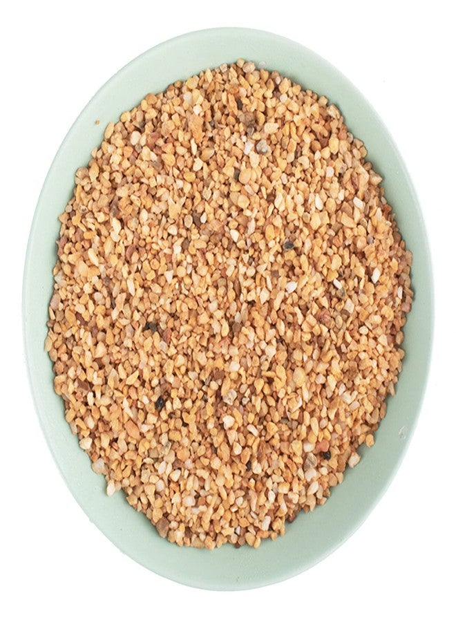 Avalution 2mm-4mm Coarse Sand Stone Plant Decorative Gravel Succulents, Cactus Bonsai Gravel, Terrarium Filling DIY Gardening Indoor & Outdoor Garden Bonsai Decoration-3LB - Image 1